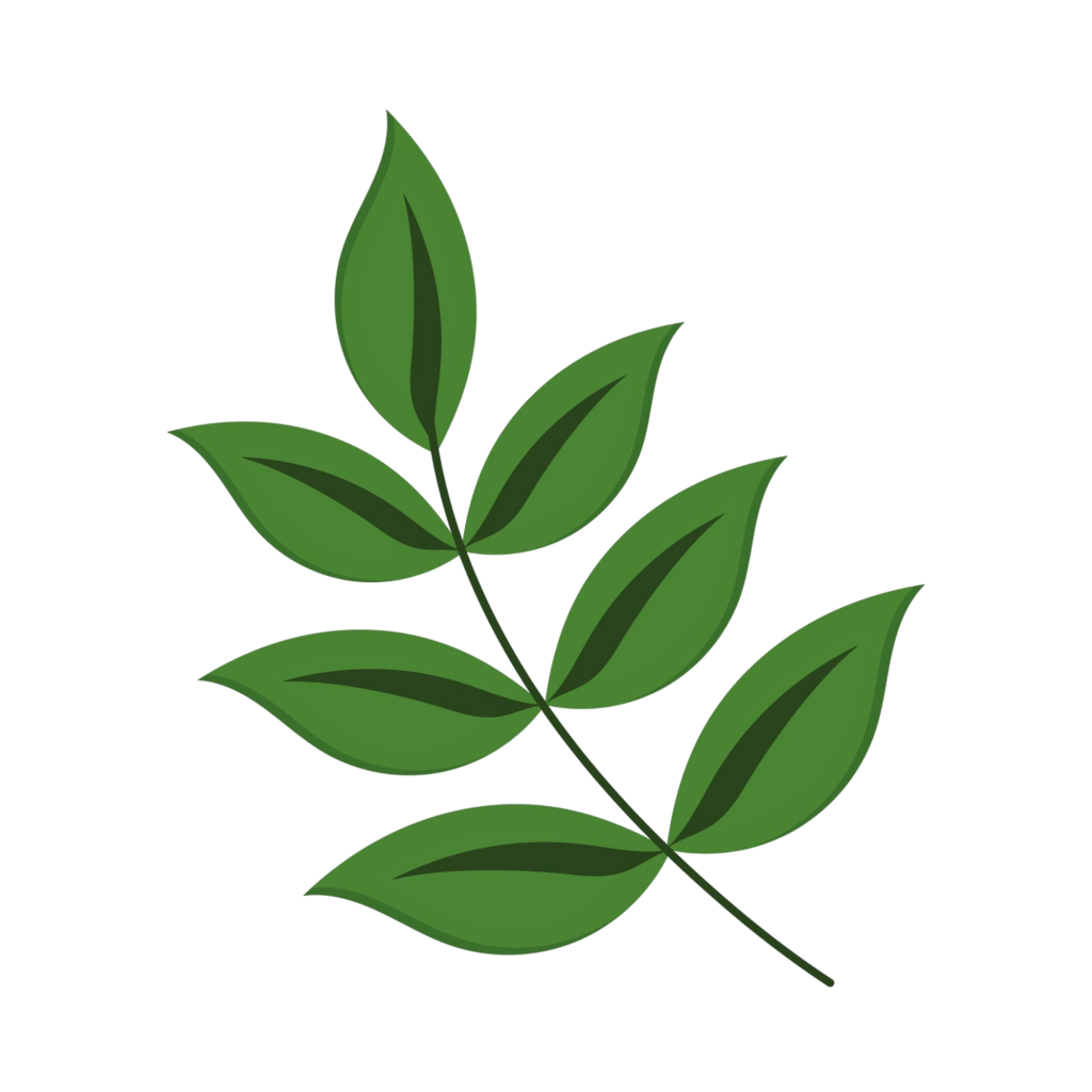 leaves foliage design